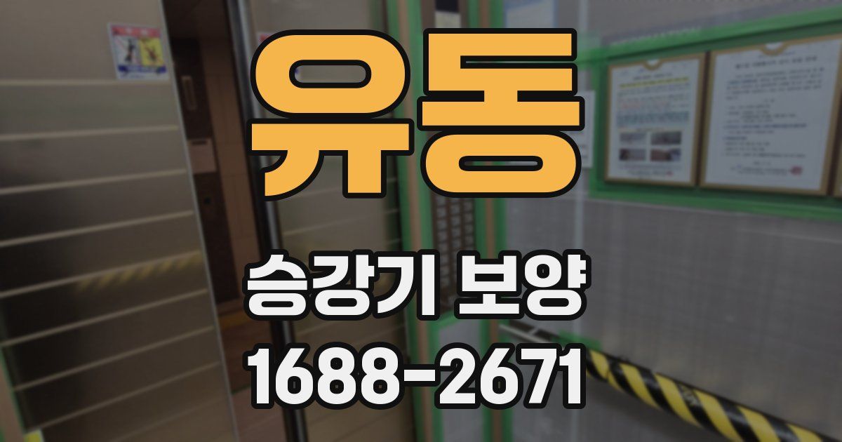유동 승강기 보양