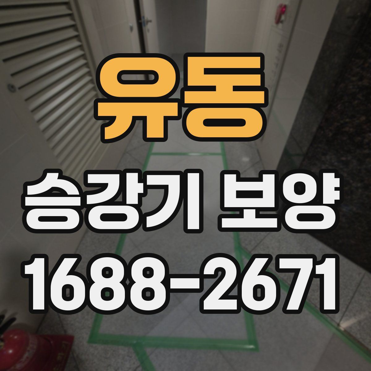 유동 승강기 보양