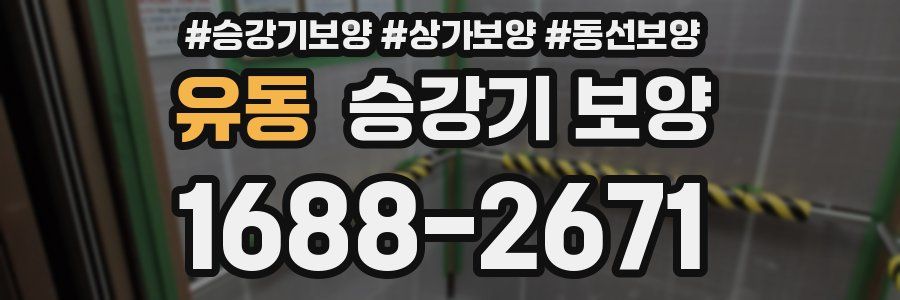 유동 승강기 보양