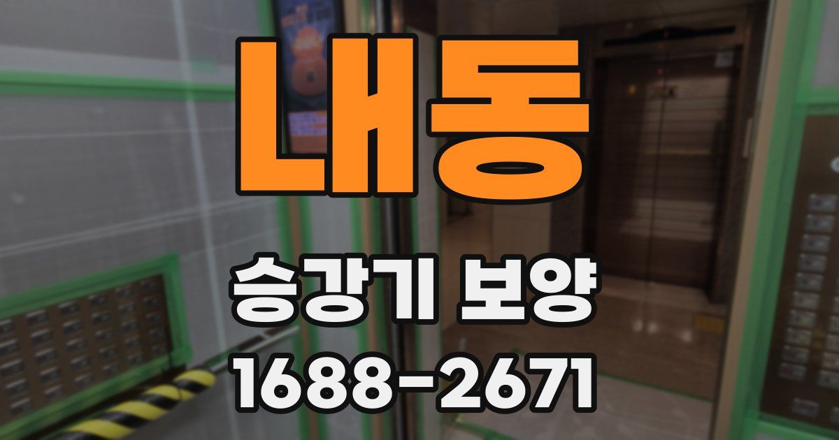 내동 승강기 보양