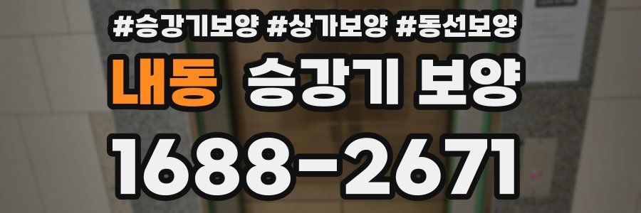 내동 승강기 보양