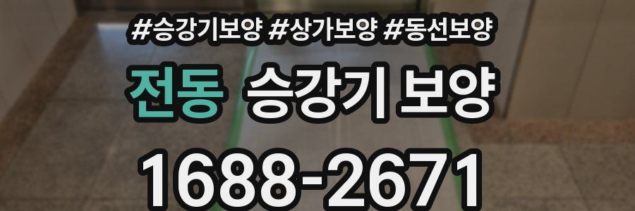 전동 승강기 보양