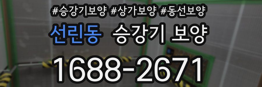 선린동 승강기 보양