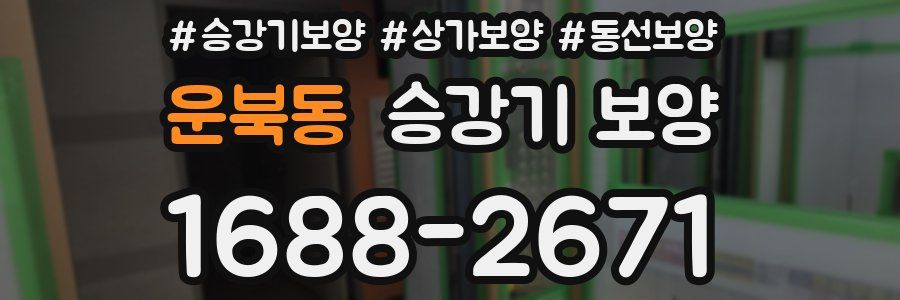 운북동 승강기 보양