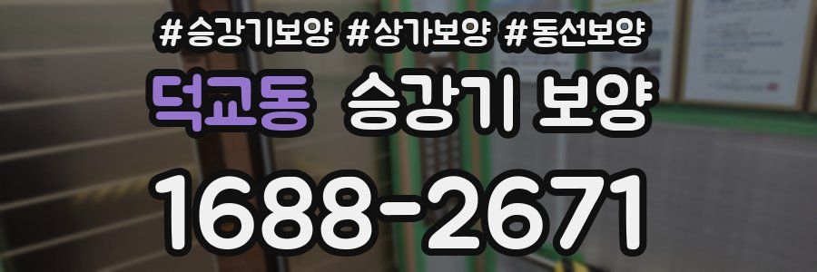 덕교동 승강기 보양