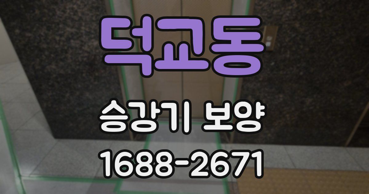 덕교동 승강기 보양