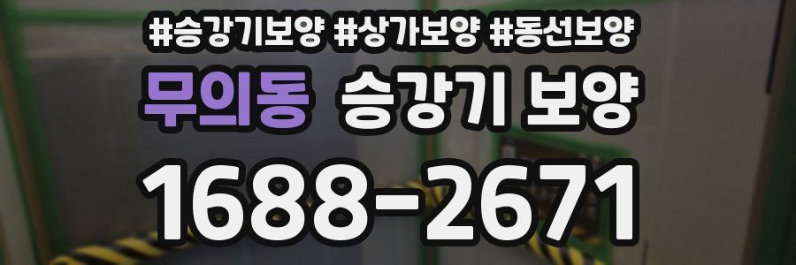 무의동 승강기 보양