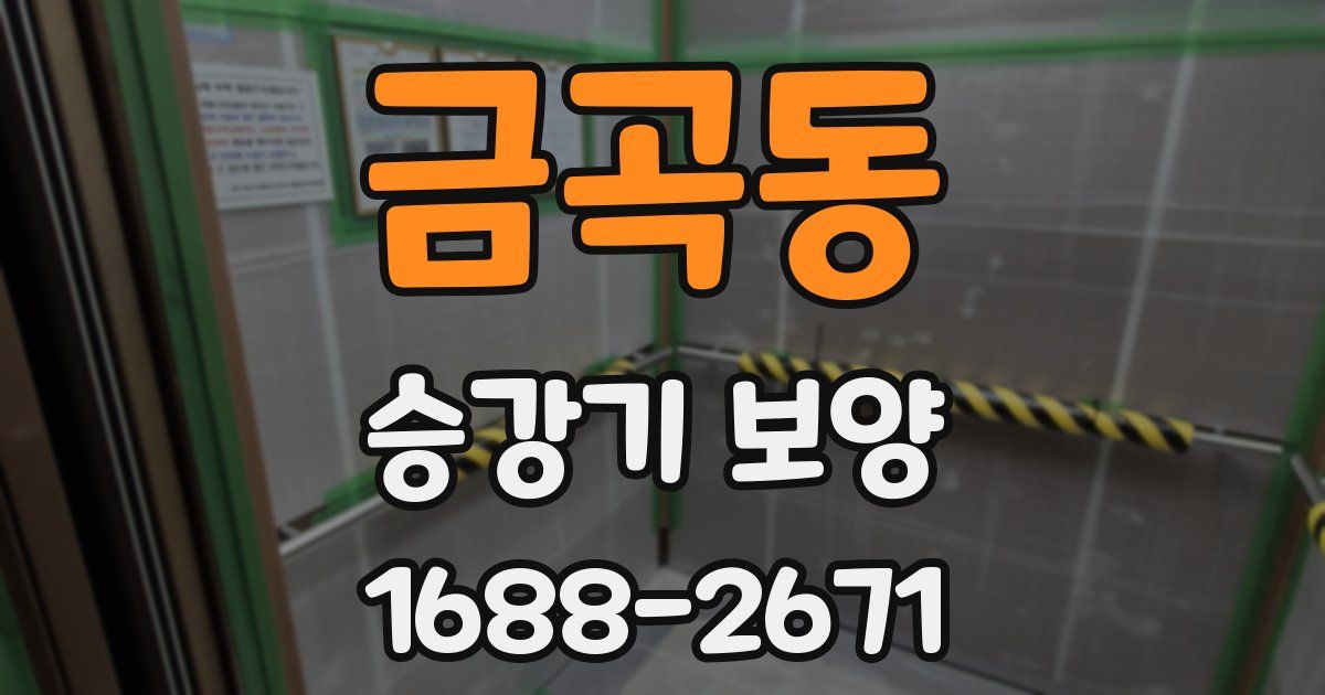 금곡동 승강기 보양