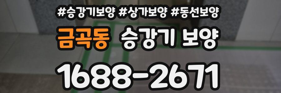 금곡동 승강기 보양