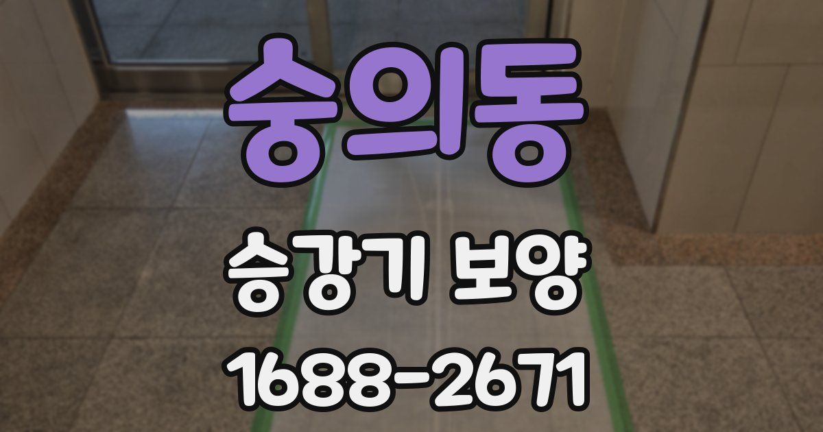 숭의동 승강기 보양