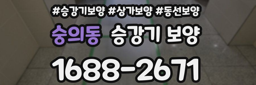 숭의동 승강기 보양