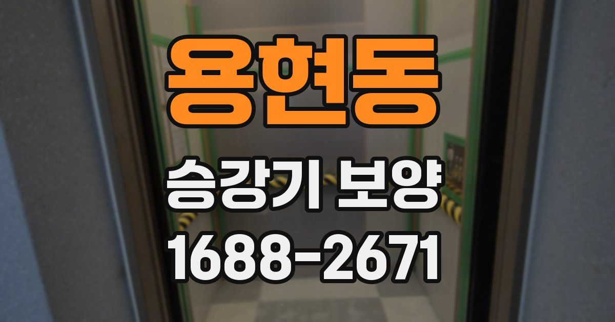용현동 승강기 보양