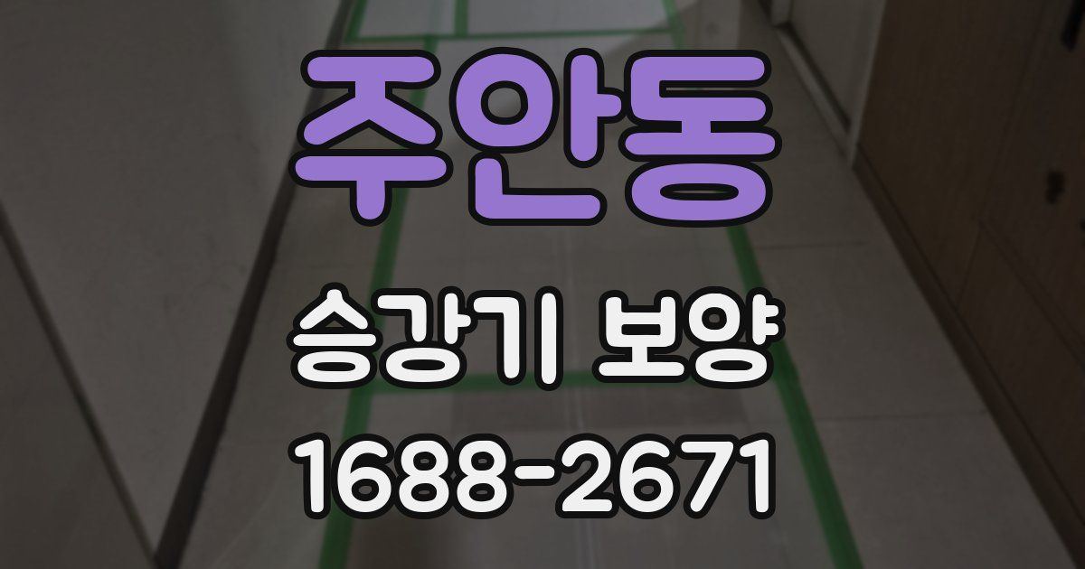 주안동 승강기 보양