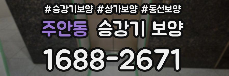 주안동 승강기 보양