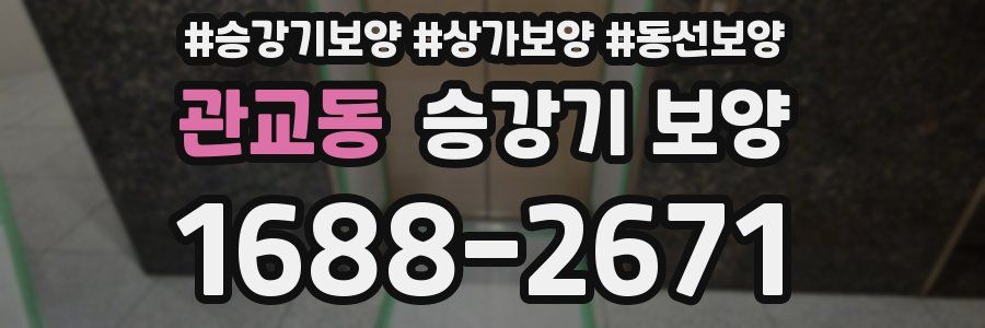 관교동 승강기 보양