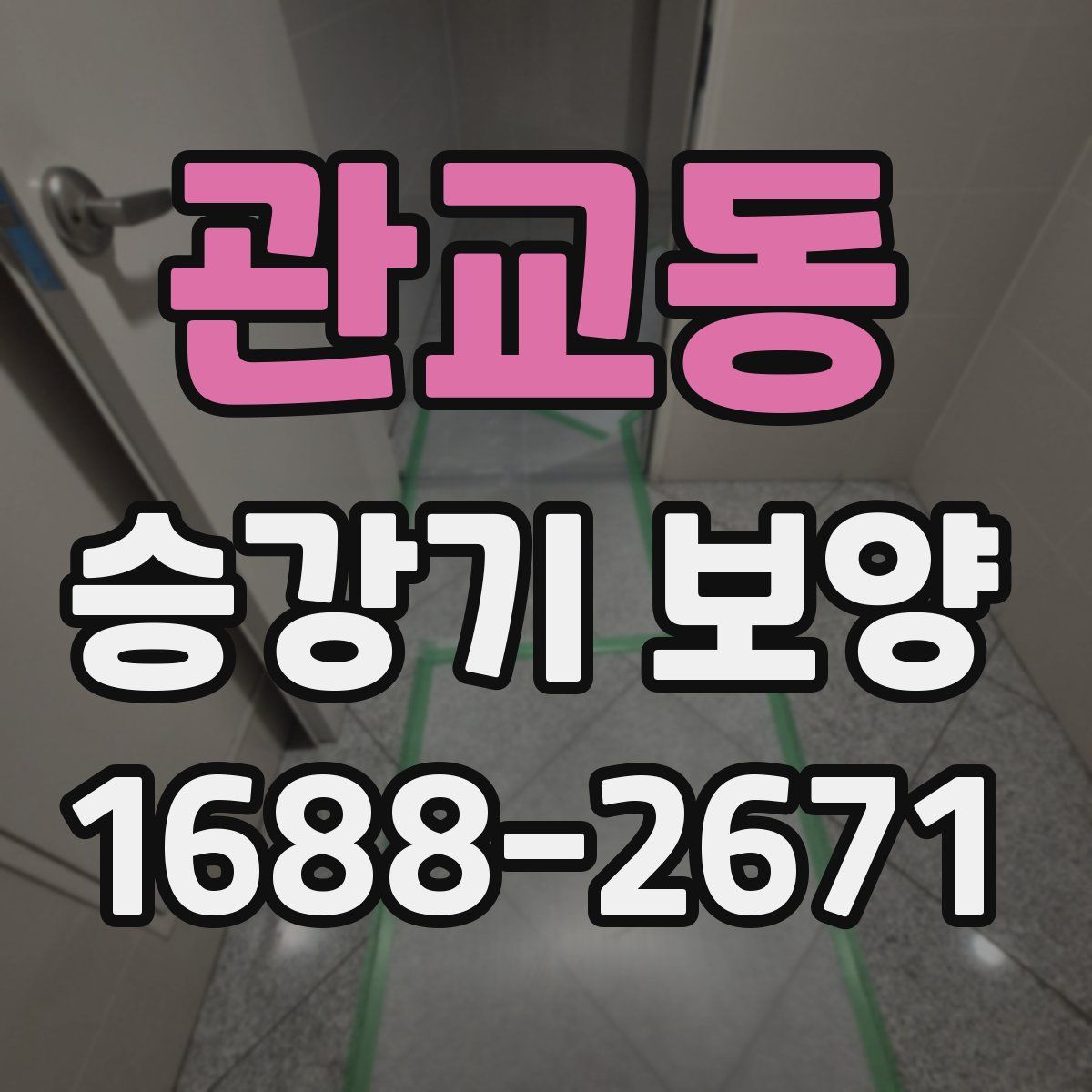 관교동 승강기 보양