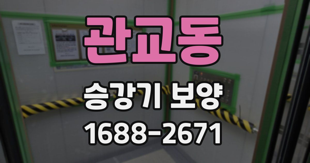 관교동 승강기 보양