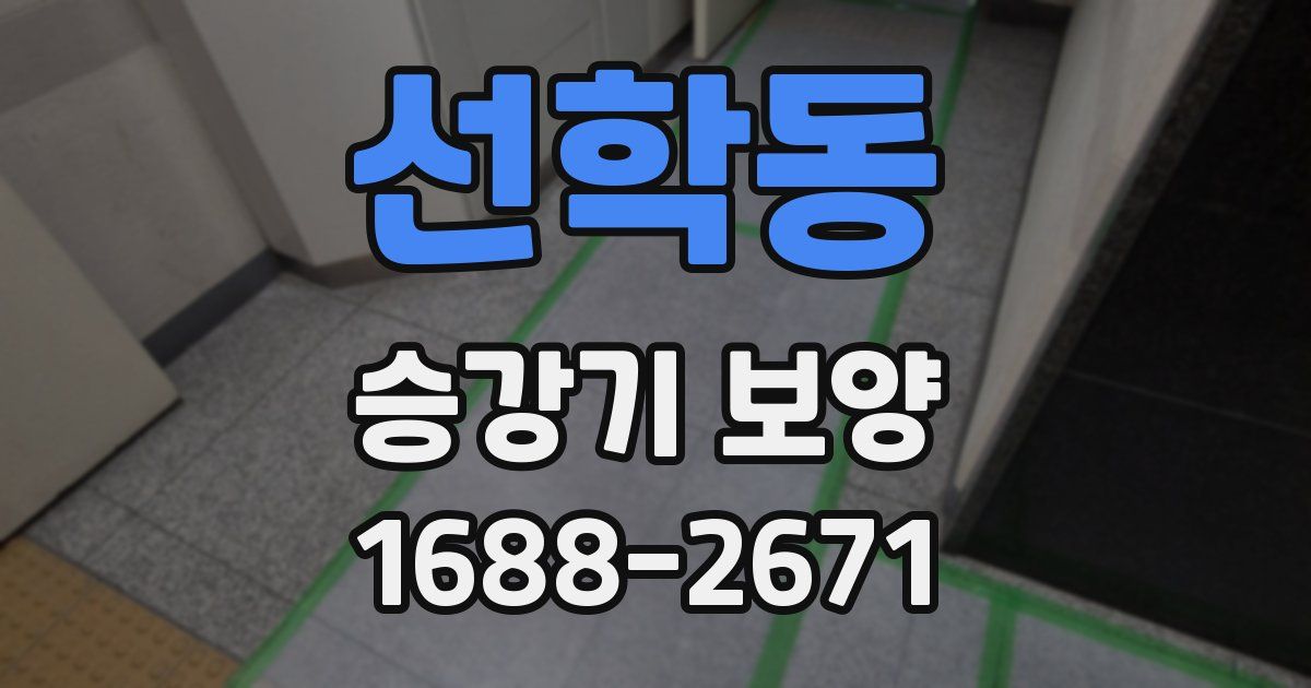 선학동 승강기 보양