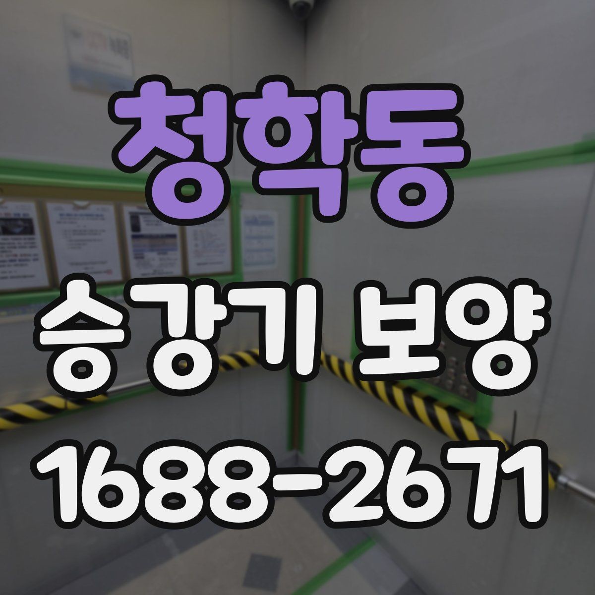 청학동 승강기 보양 전후 비교로 보는 변화