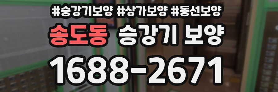 송도동 승강기 보양
