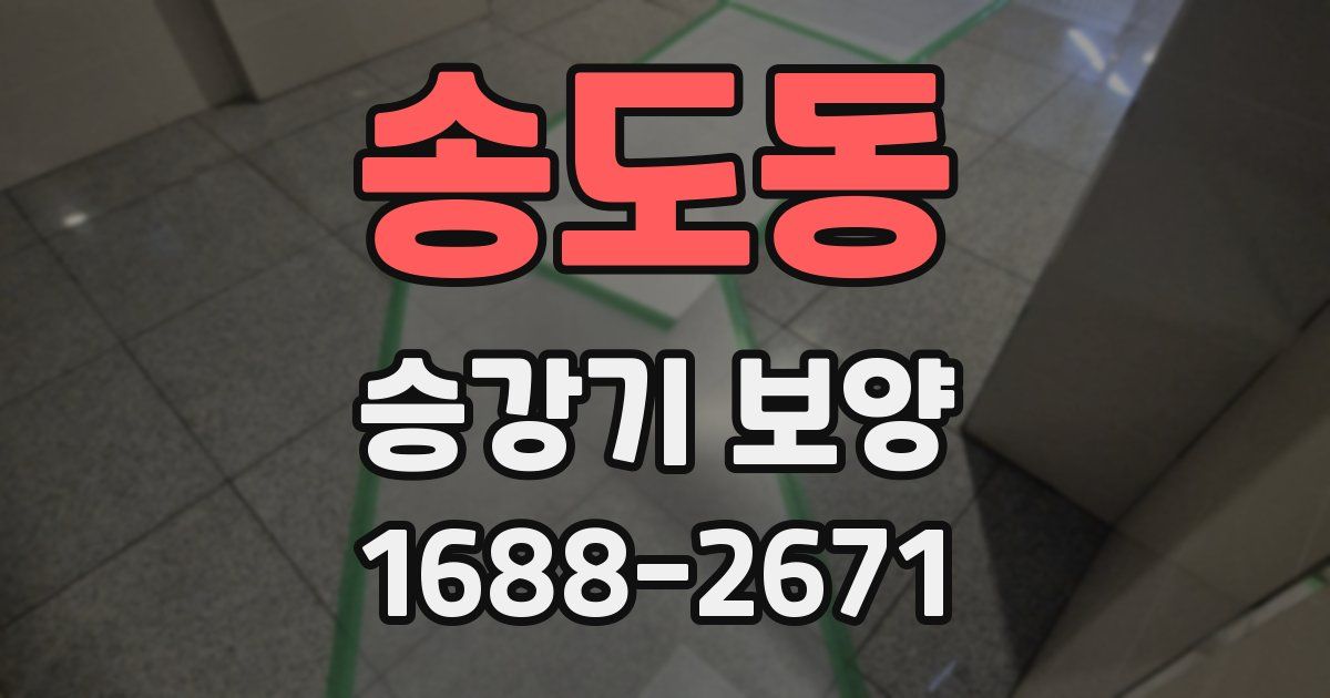 송도동 승강기 보양