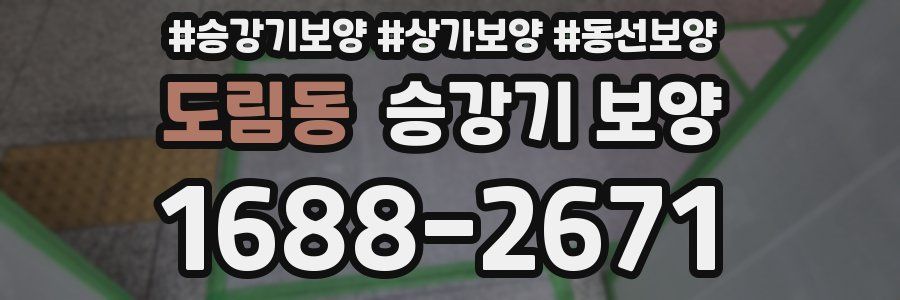 도림동 승강기 보양