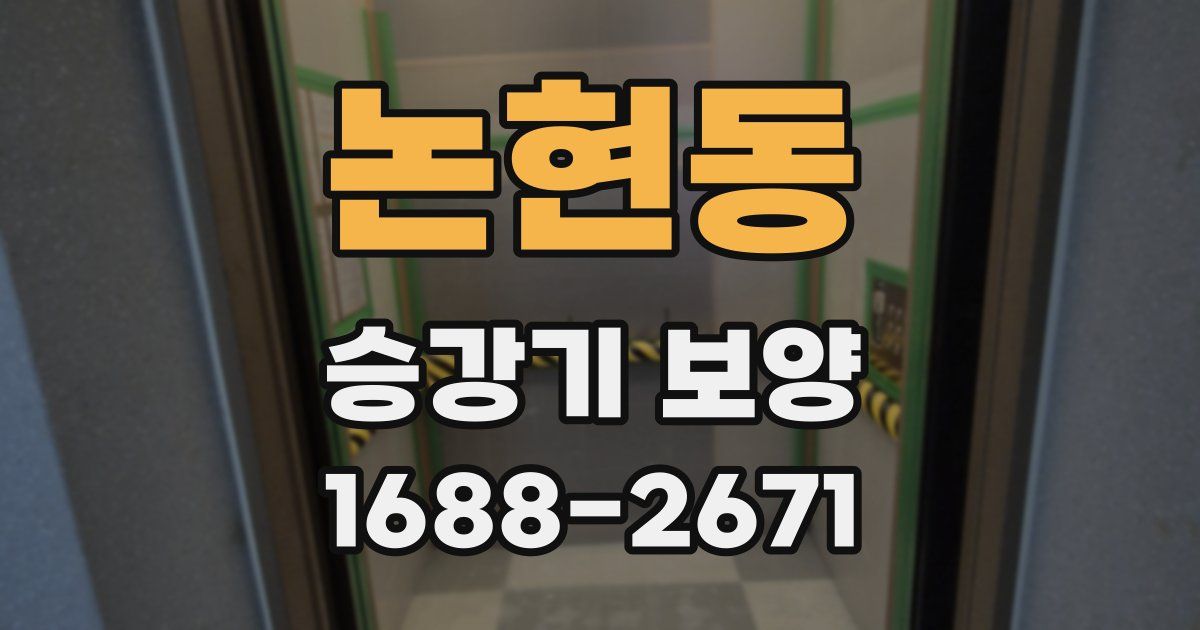 논현동 승강기 보양