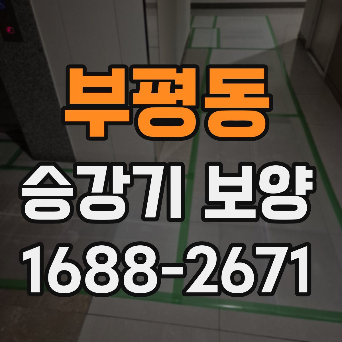 부평동 승강기 보양