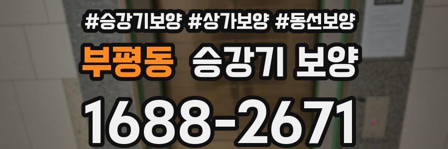 부평동 승강기 보양