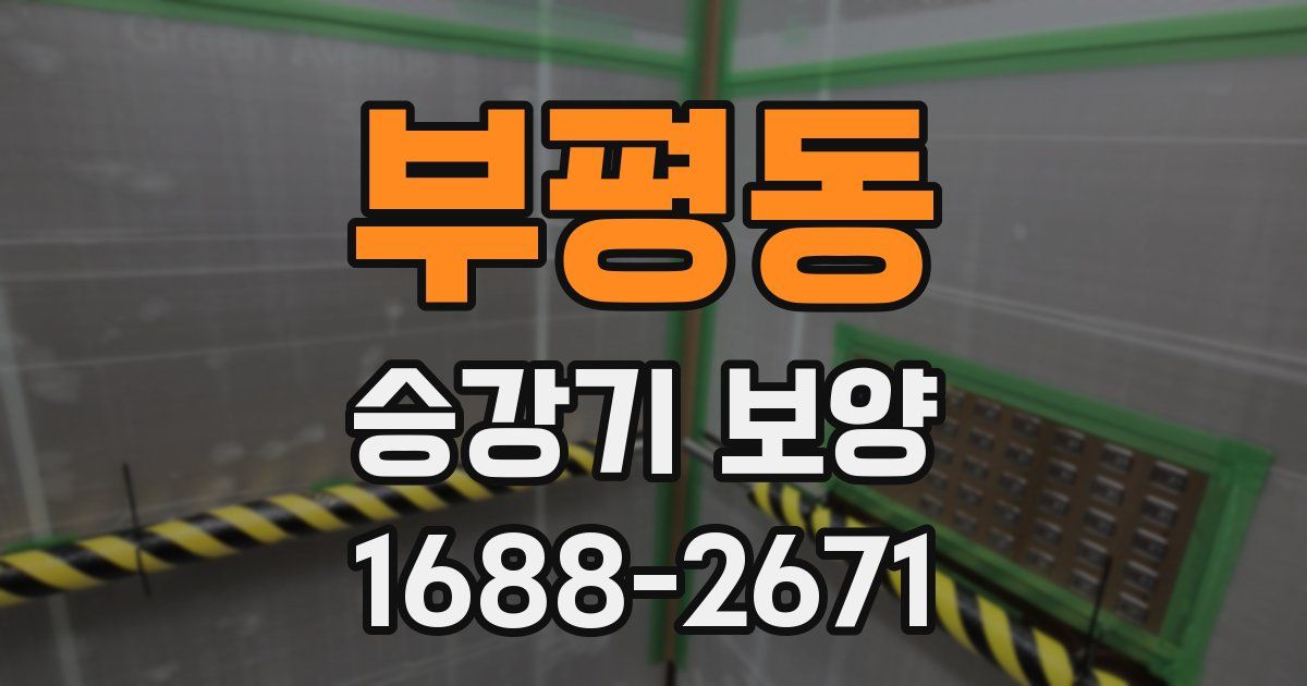 부평동 승강기 보양