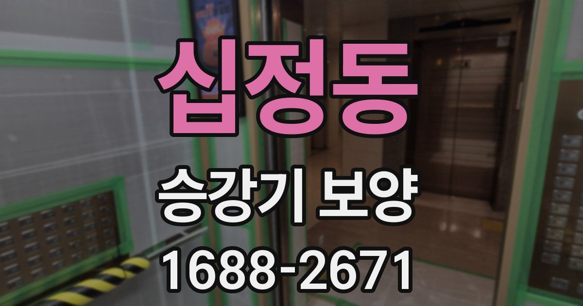 십정동 승강기 보양