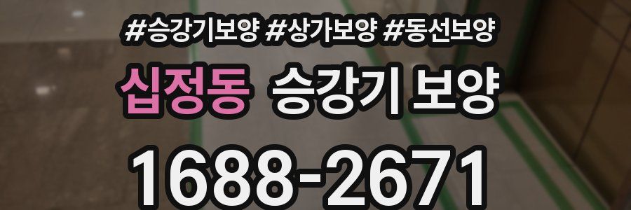 십정동 승강기 보양