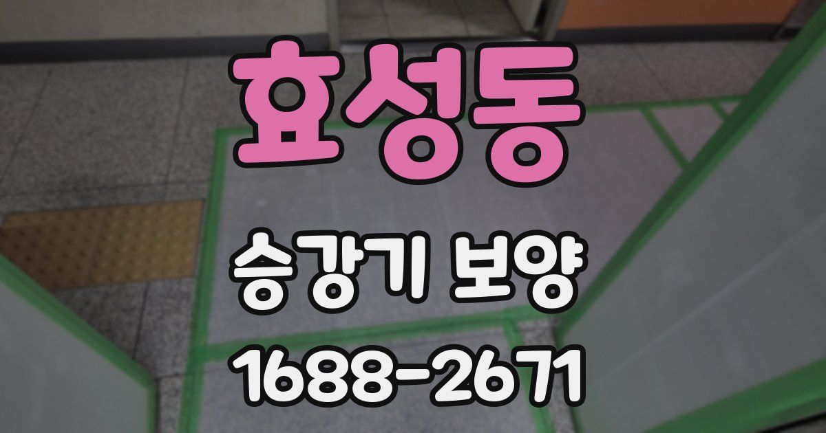 효성동 승강기 보양