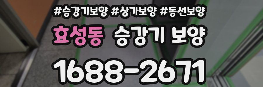 효성동 승강기 보양