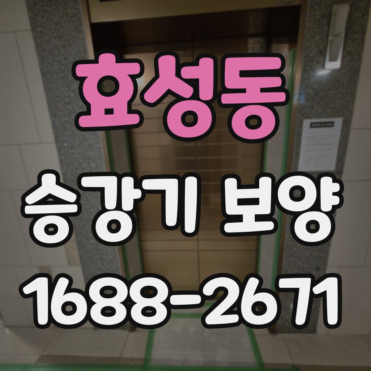 효성동 승강기 보양
