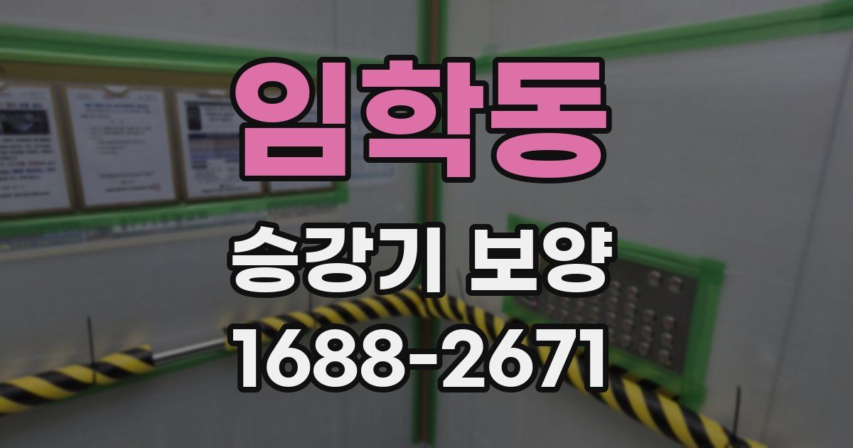 임학동 승강기 보양