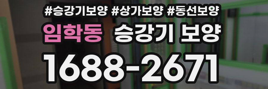 임학동 승강기 보양