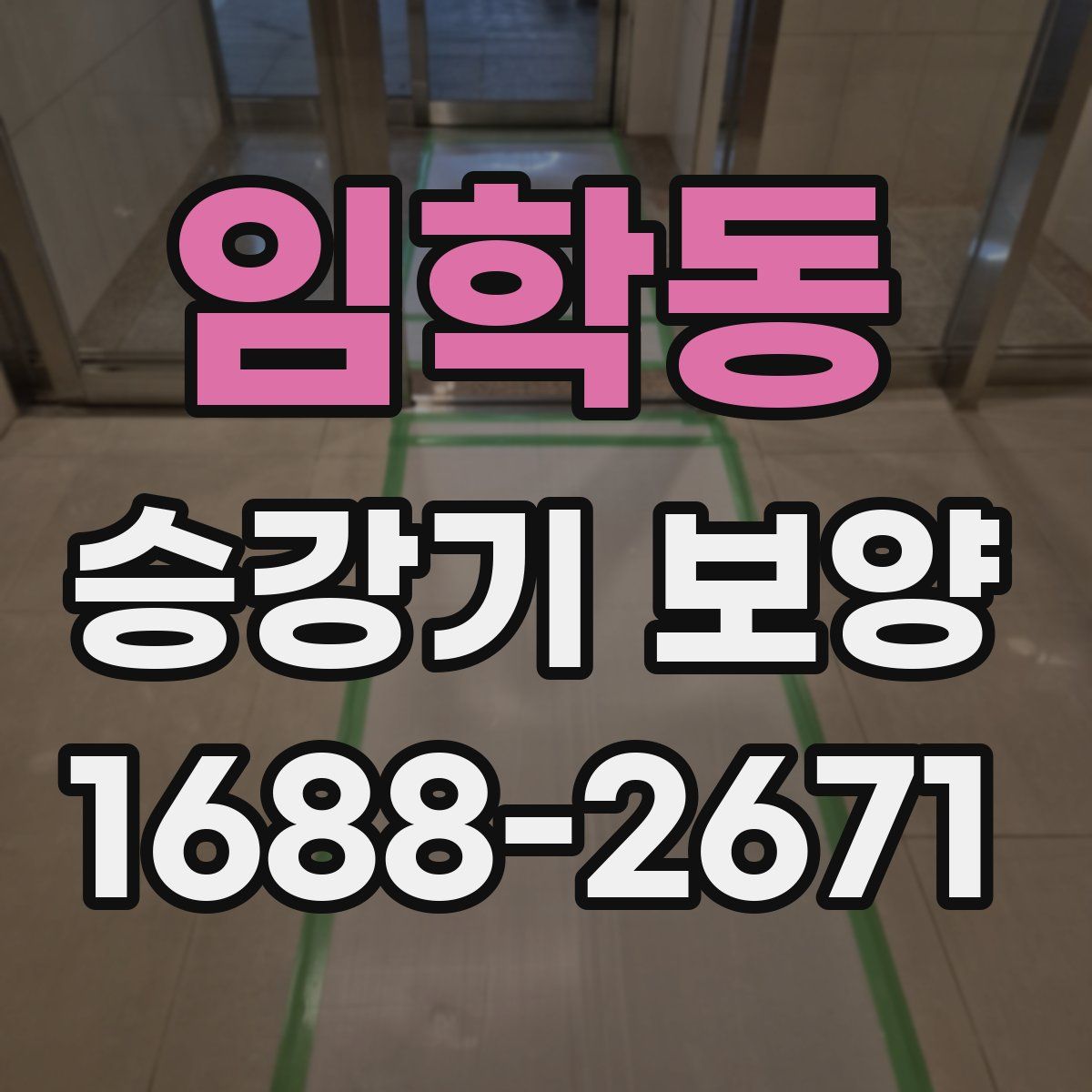 임학동 승강기 보양