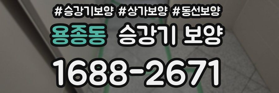 용종동 승강기 보양