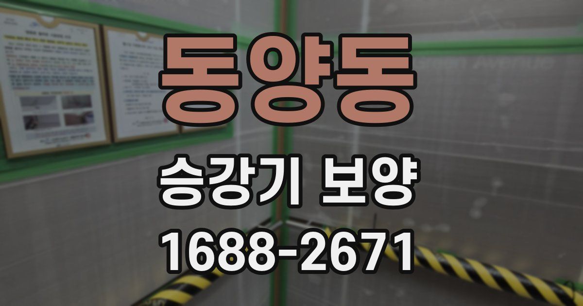 동양동 승강기 보양