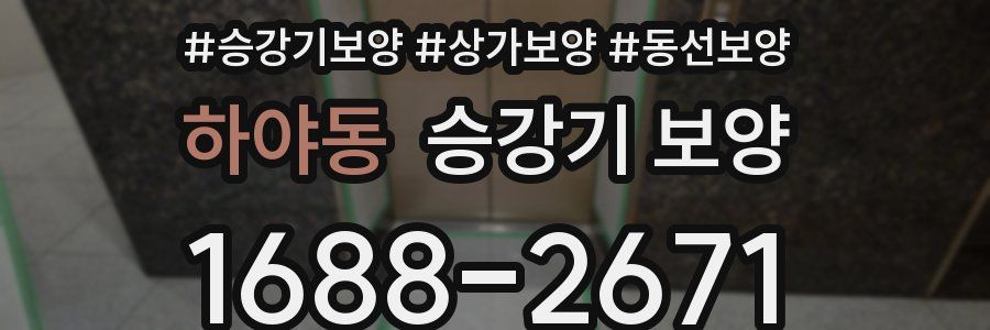 하야동 승강기 보양