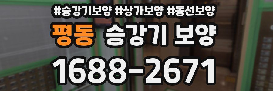 평동 승강기 보양