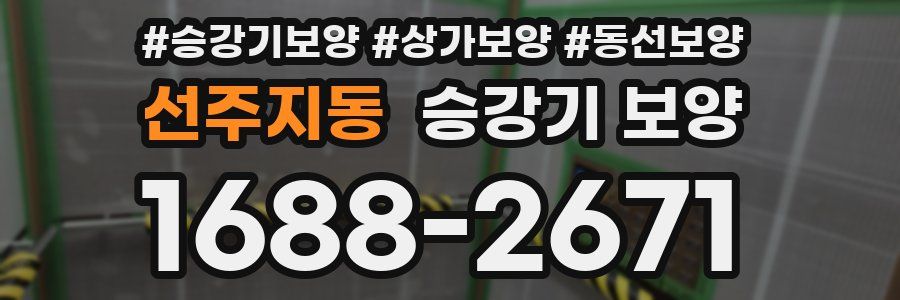 선주지동 승강기 보양