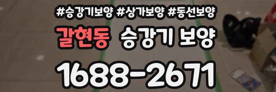 갈현동 승강기 보양