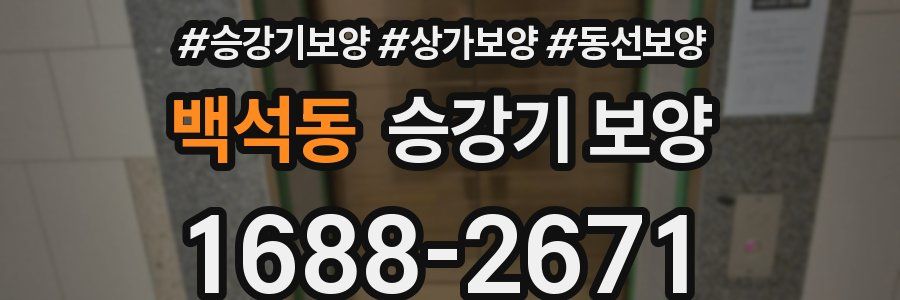 백석동 승강기 보양
