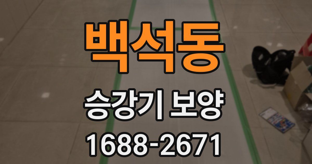 백석동 승강기 보양