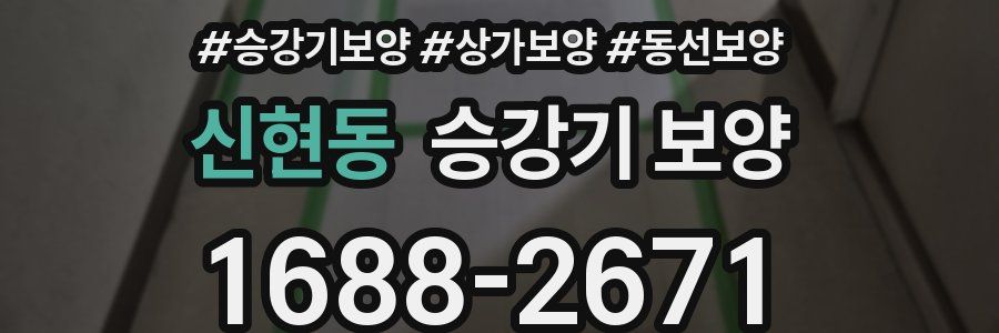 신현동 승강기 보양