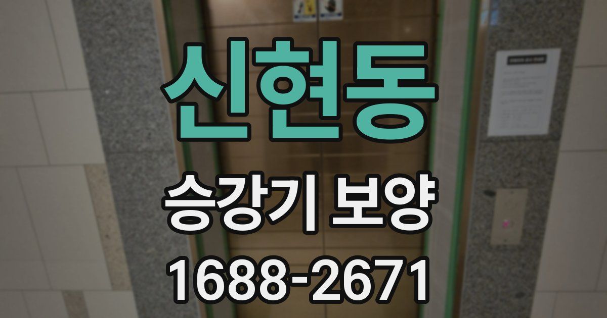 신현동 승강기 보양