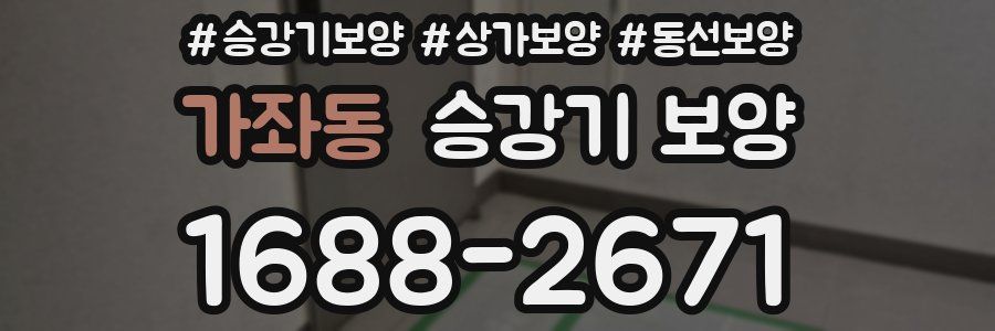 가좌동 승강기 보양