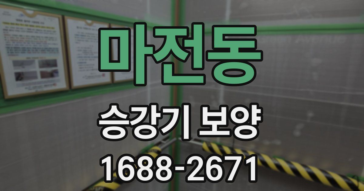 마전동 승강기 보양